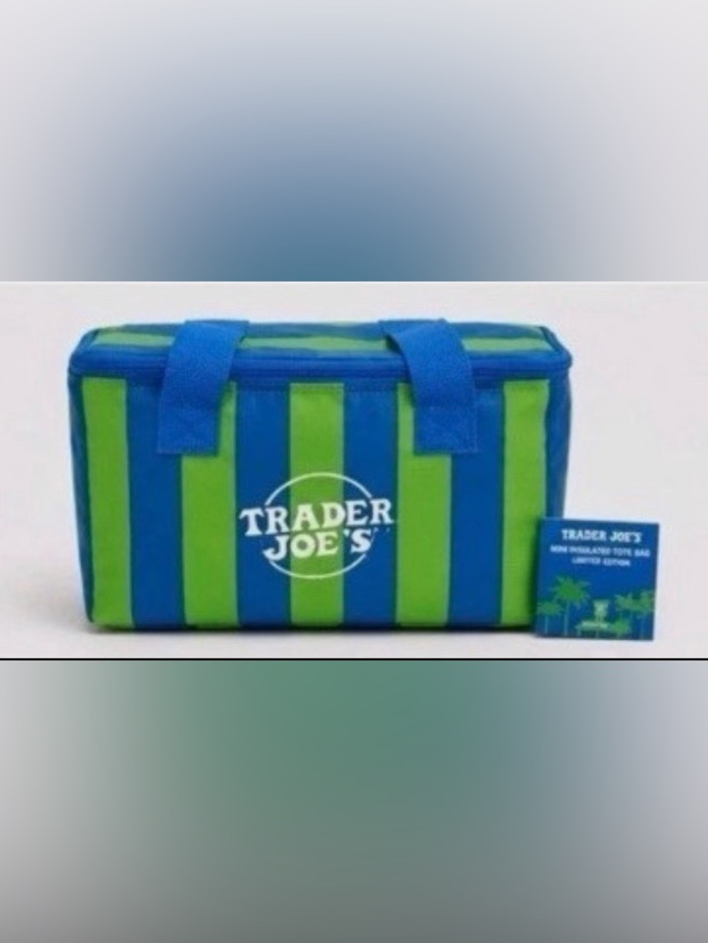 Trader Joe’s Neon Lime & Blue Insulated Mini Cooler Tote Lunch Bag, NWT
